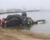 Une baleine de 44 pieds en voie de disparition est morte lors d’une collision avec un énorme navire de croisière, entraîné dans le port de la ville de New York